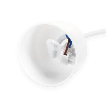 Aigostar - Cable de alimentación 1xE27/60W/250V blanco