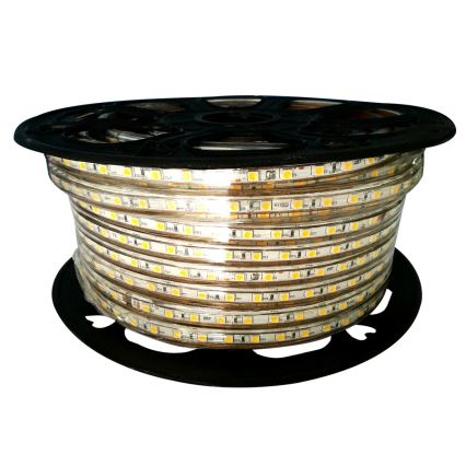 Aigostar - Cinta LED para exterior 50m LED/350W/230V 3000K IP65