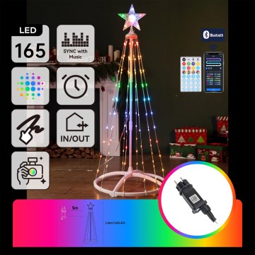 Aigostar - Decoración navideña inteligente para exterior LED RGBICW MESH 165xLED/230V 1,8m IP44 + control remoto