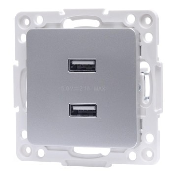 Aigostar - Enchufe de alimentación USB sin marco, 2x USB-A, plateado