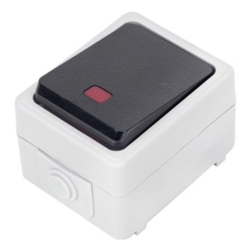 Aigostar - Interruptor de un botón IP54