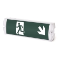 Aigostar - Luz de emergencia LED EMERGENCY EXIT LED/4W/230V IP65 6500K 600mAh