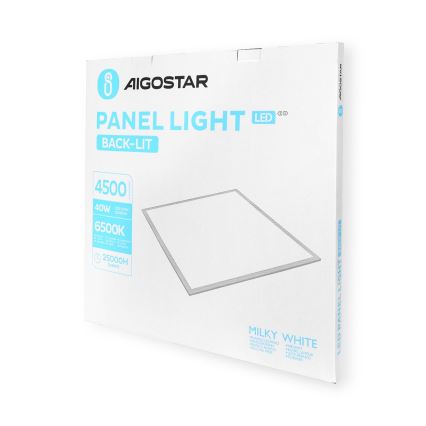 Aigostar - Panel LED empotrado LED/40W/230V 6500K 60x60cm blanco