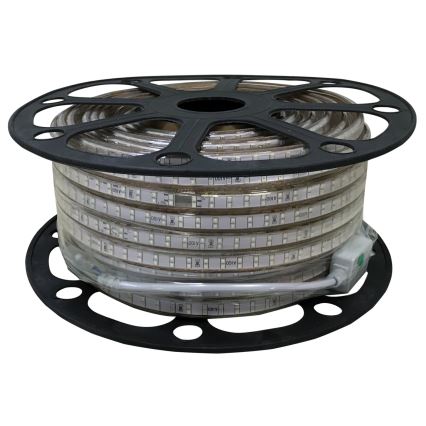 Aigostar - Tira LED para exterior 50 m LED/350 W/230 V verde IP65