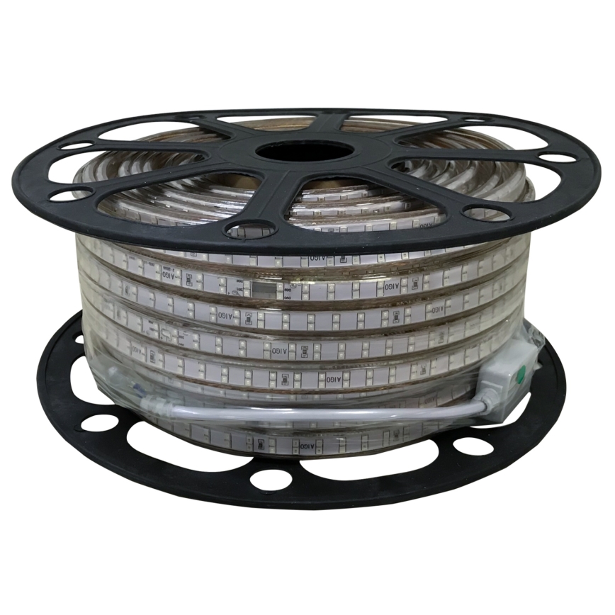 Aigostar - Tira LED para exterior 50 m LED/350 W/230 V verde IP65