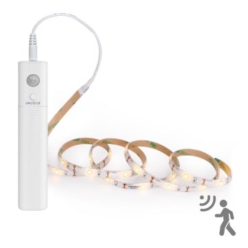 Aigostar - Tira LED regulable con sensor 1m LED/2W/4xAAA 3000K IP65