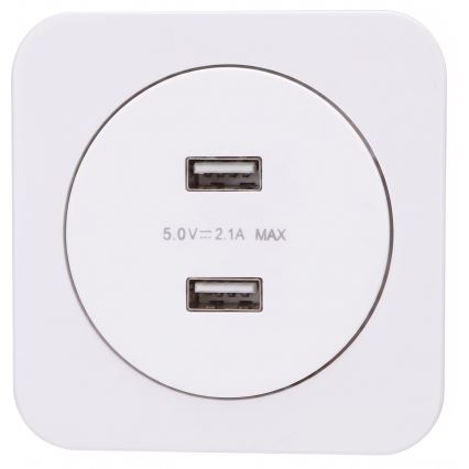 Aigostar - Toma de alimentación USB con marco, 2x USB-A, blanco