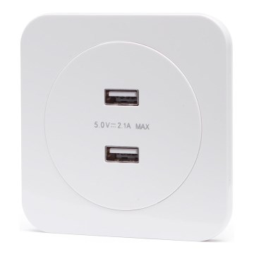Aigostar - Toma USB empotrable con marco, 2x USB-A, blanca