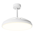 Aigostar - Ventilador de techo LED regulable LED/50W/230V 2700–6500K Ø 106cm blanco + mando a distancia