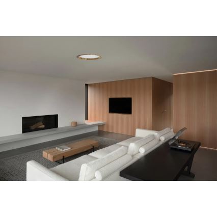 APLED - Lámpara empotrable LED RONDO WOODLINE LED/18W/230V 3000K diá. 26 cm ceniza madera maciza