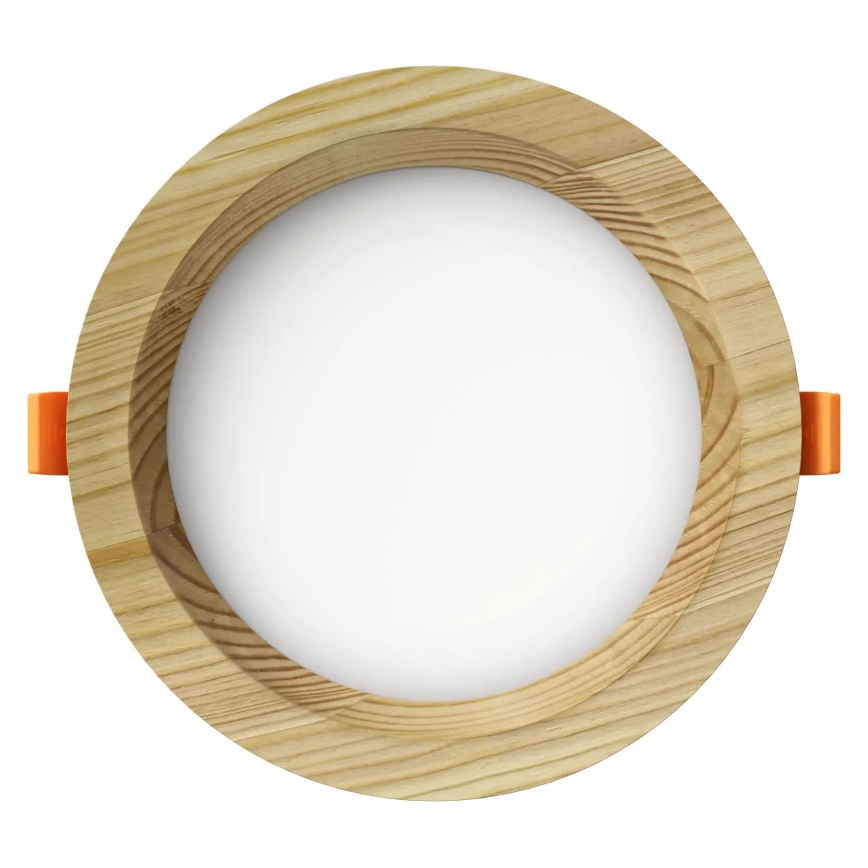 APLED - Lámpara empotrable LED RONDO WOODLINE LED/6W/230V 4000K diá. 15 cm pino madera maciza