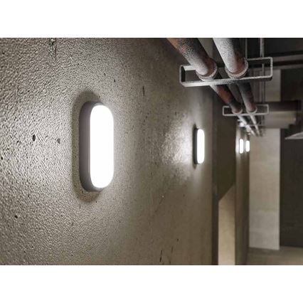 Aplique de pared exterior LED/12W/230V IP54 negro