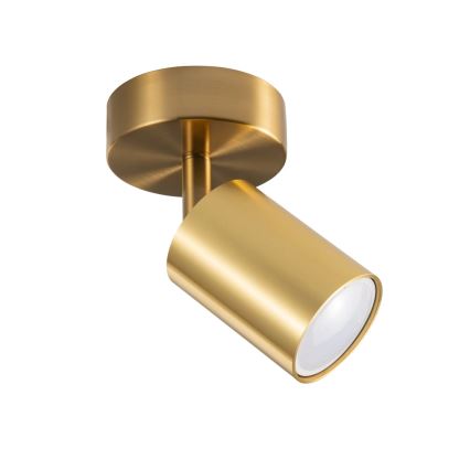 Aplique de pared orientable GOLDIE 1xGU10/10W/230V, acabado dorado