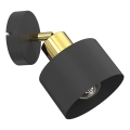 Aplique de pared orientable PARKLA 1xE27/15W/230V negro/dorado