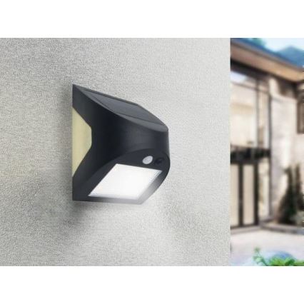 Luminaria solar de pared con sensor LED/3W/3,7V 3000/4000K 1200 mAh IP54 negra