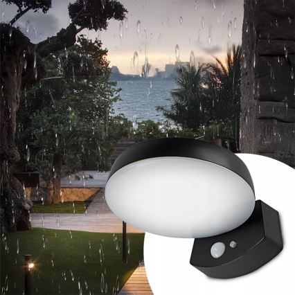 Aplique solar de pared LED regulable con sensor LED/3W/3,7V 1800 mAh IP54 negro