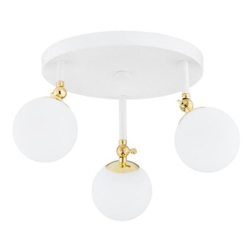 Argon 1434 - Plafón para baño LATINA 3xE14/7W/230V IP44 blanco/dorado