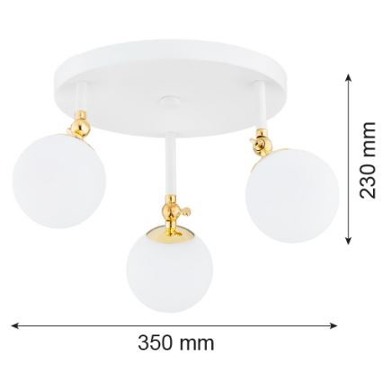 Argon 1434 - Plafón para baño LATINA 3xE14/7W/230V IP44 blanco/dorado
