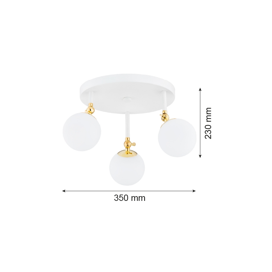 Argon 1434 - Plafón para baño LATINA 3xE14/7W/230V IP44 blanco/dorado