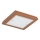 Argon 1867 - Lámpara de techo TABOR 4xE27/15W/230V 42x42 cm terracota