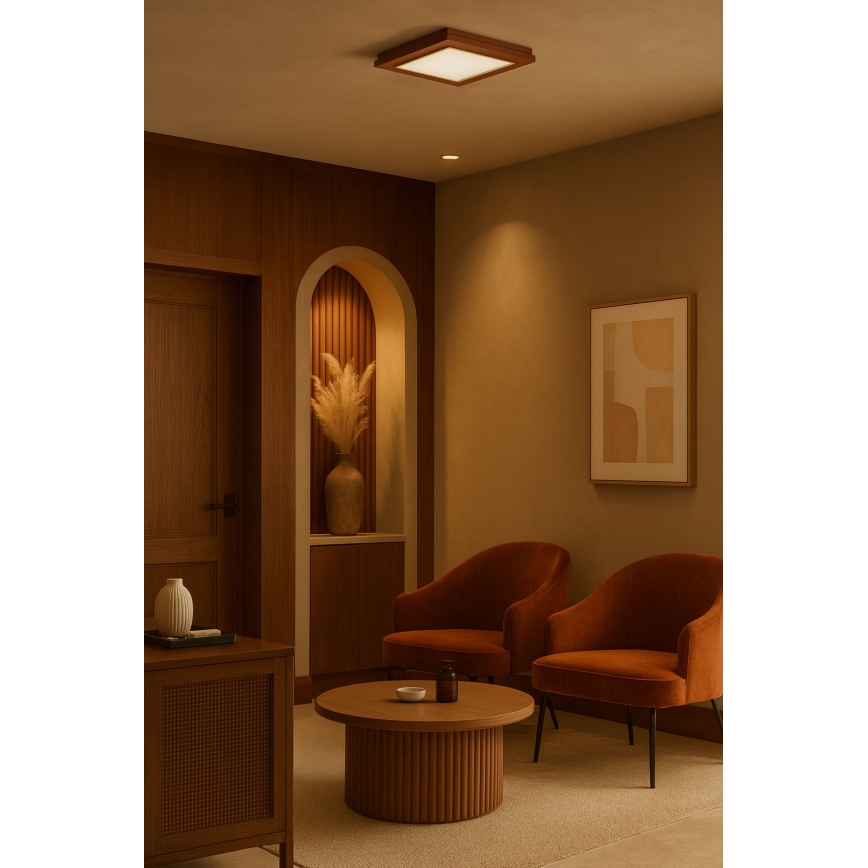 Argon 1867 - Lámpara de techo TABOR 4xE27/15W/230V 42x42 cm terracota