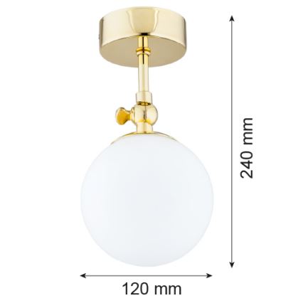 Argon 4001 - Lámpara de techo de superficie para baño LATINA 1xE14/40W/230V IP44