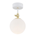 Argon 4002 - Plafón de superficie para baño LATINA 1xE14/7W/230V IP44 blanco/dorado