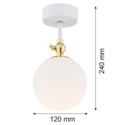 Argon 4002 - Plafón de superficie para baño LATINA 1xE14/7W/230V IP44 blanco/dorado