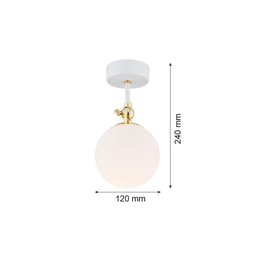 Argon 4002 - Plafón de superficie para baño LATINA 1xE14/7W/230V IP44 blanco/dorado
