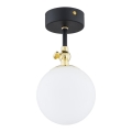 Argon 4003 - Plafón de techo para baño LATINA, montaje en superficie, 1xE14/7W/230V, IP44, negro/latón