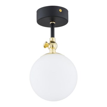 Argon 4003 - Plafón de techo para baño LATINA, montaje en superficie, 1xE14/7W/230V, IP44, negro/latón