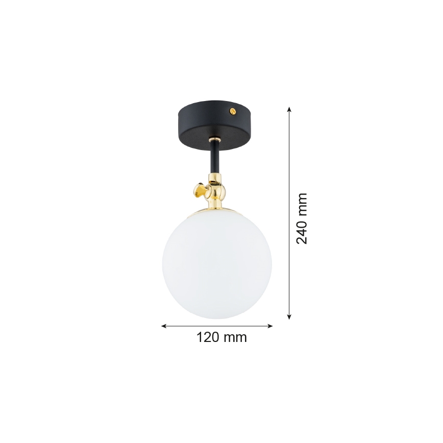 Argon 4003 - Plafón de techo para baño LATINA, montaje en superficie, 1xE14/7W/230V, IP44, negro/latón