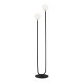 Argon 7073 - Lámpara de pie FERRONE 2xE14/7W/230V negro/blanco/dorado