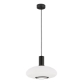 Argon 8565 - Lámpara colgante SAGUNTO PLUS 1xE27/15W/230V diá. 30 cm negro