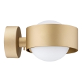 Argon 8567 - Aplique de baño MASSIMO PLUS 1xG9/6W/230V IP44 dorado