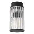 Argon 8773 - Plafón de exterior NORFOLK 1xE27/15W/230V IP44 negro