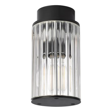 Argon 8773 - Plafón de exterior NORFOLK 1xE27/15W/230V IP44 negro