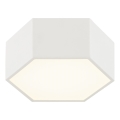 Argon 8781 - Plafón LED LIBERO LED/12W/230V 3000K blanco