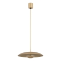 Argon 8869 - Lámpara colgante LED con cable BOLTON LED/12,5W/230V 3000K dorada