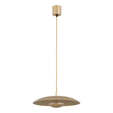 Argon 8869 - Lámpara colgante LED con cable BOLTON LED/12,5W/230V 3000K dorada