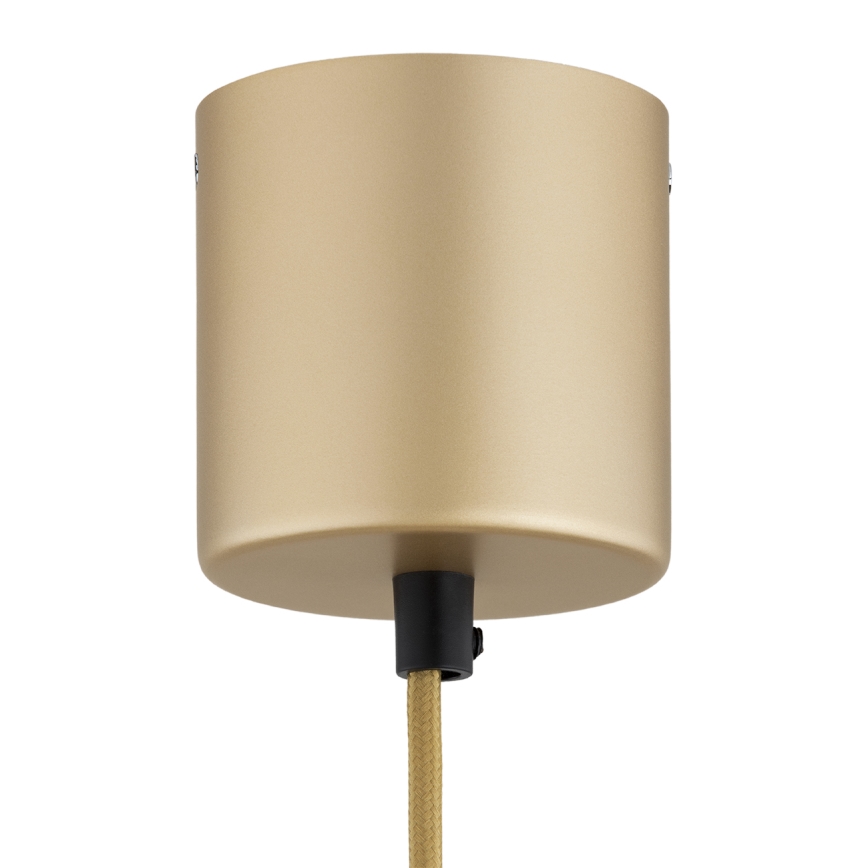 Argon 8869 - Lámpara colgante LED con cable BOLTON LED/12,5W/230V 3000K dorada