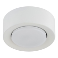 Argon 8915 - Lámpara de techo ELORA 1xGX53/7W/230V diámetro 11 cm blanca