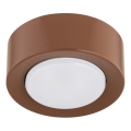 Argon 8916 - Lámpara de techo ELORA 1xGX53/7W/230V Ø 11 cm terracota