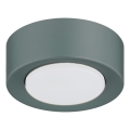 Argon 8917 - Lámpara de techo ELORA 1xGX53/7W/230V Ø 11 cm gris