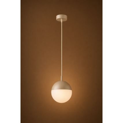 Argon 9001 - Lámpara colgante de exterior con cable LIV 1xE27/15W/230V IP44 beige