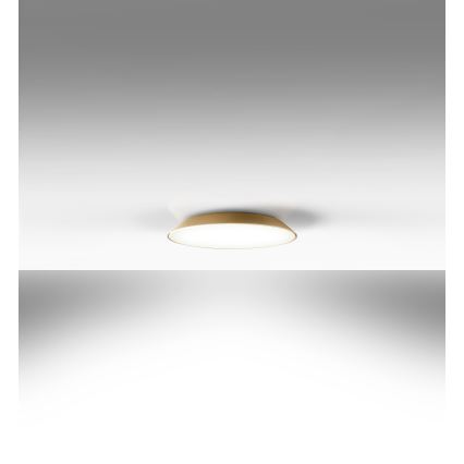 Artemide AR 0241320A - Lámpara de techo LED FEBE 4xLED/30W/230V