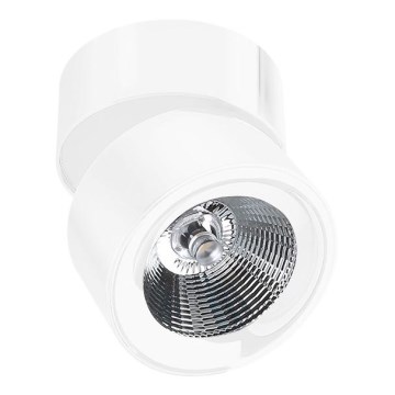 Azzardo AZ1618 - Foco LED SCORPIO LED/10W/230V