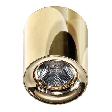 Azzardo AZ2846 - Luminaria de techo LED MANE LED/10W/230V