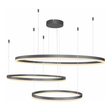 Azzardo AZ4707 - Lámpara colgante de cable HALO LED/130W/230V negra