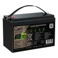 Batería LiFePO4 12,8V/100Ah